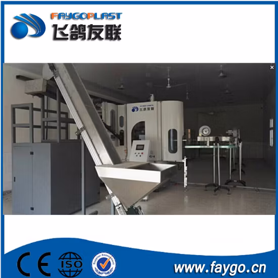 Factory Supply Automatic Pet Bottle Blowing Machine