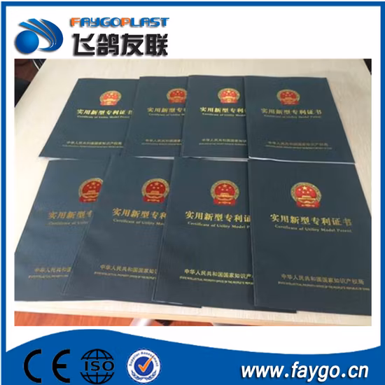 Factory Supply Automatic Pet Bottle Blowing Machine